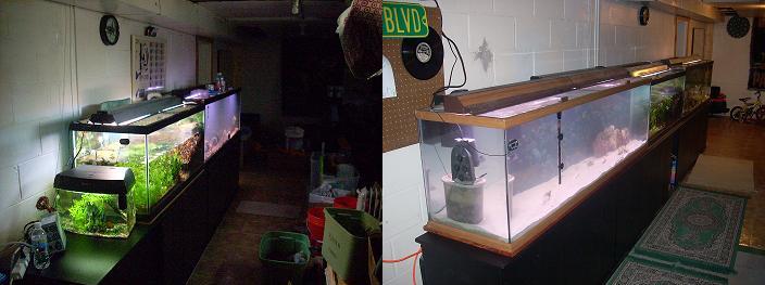 Large Format Aquarium